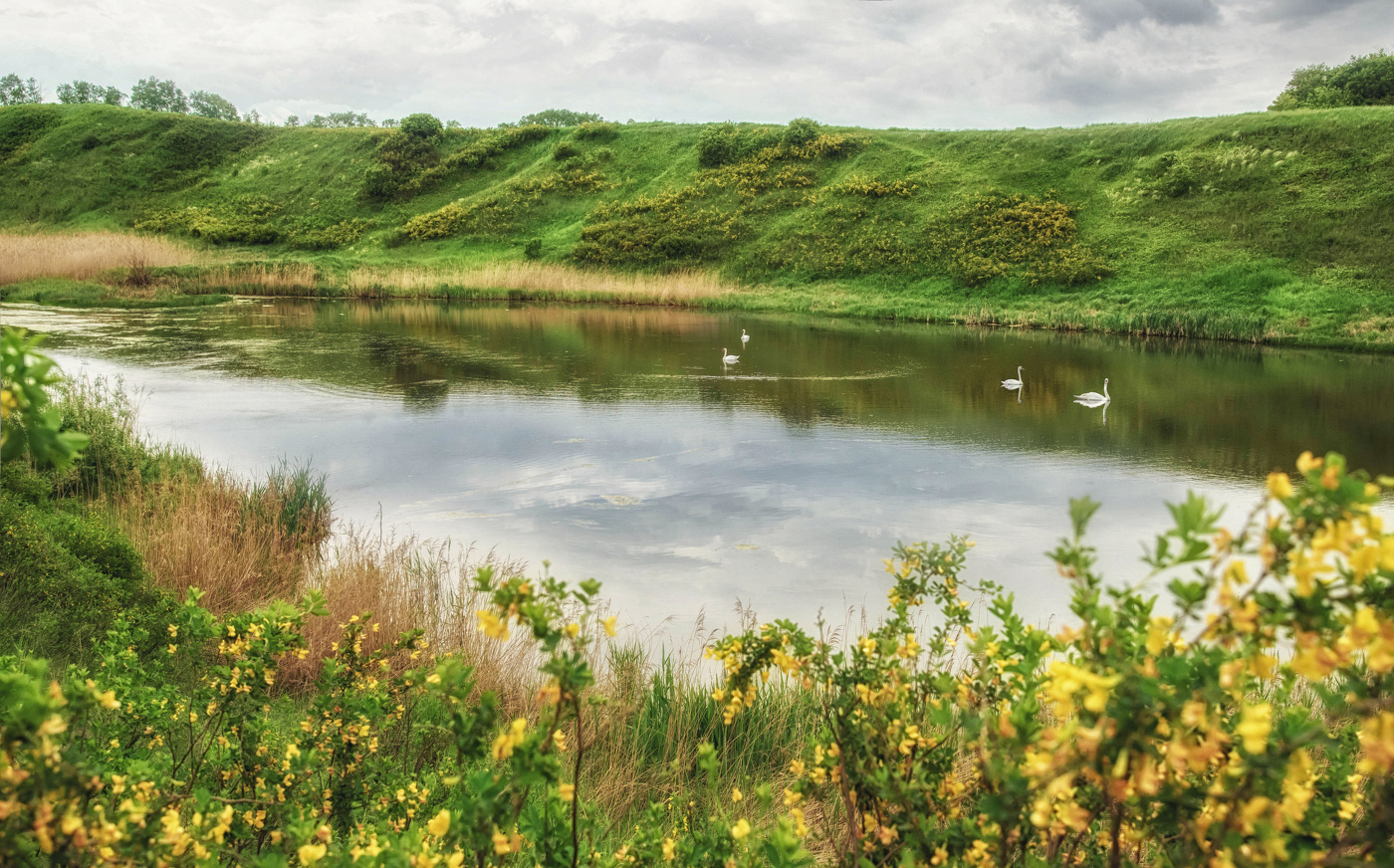 Акации на озерце около села Старые Кандры