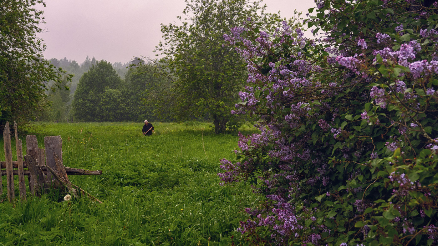 Жизнь вокруг