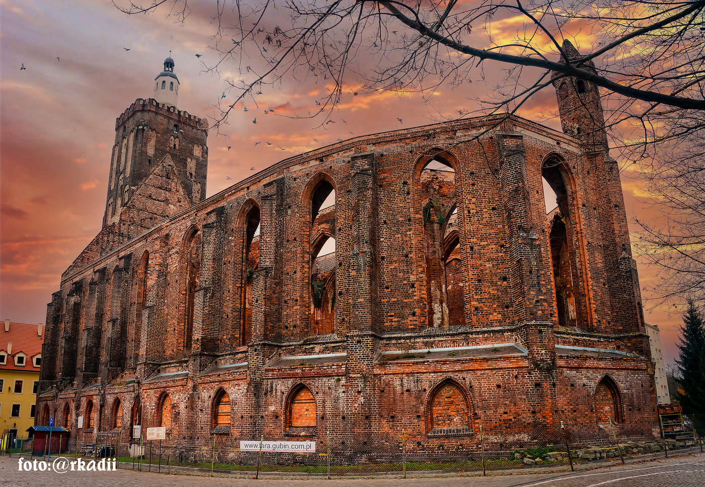 Губин (Польша) Руины главной церкви.