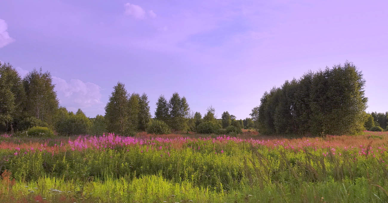 Лето в разгаре