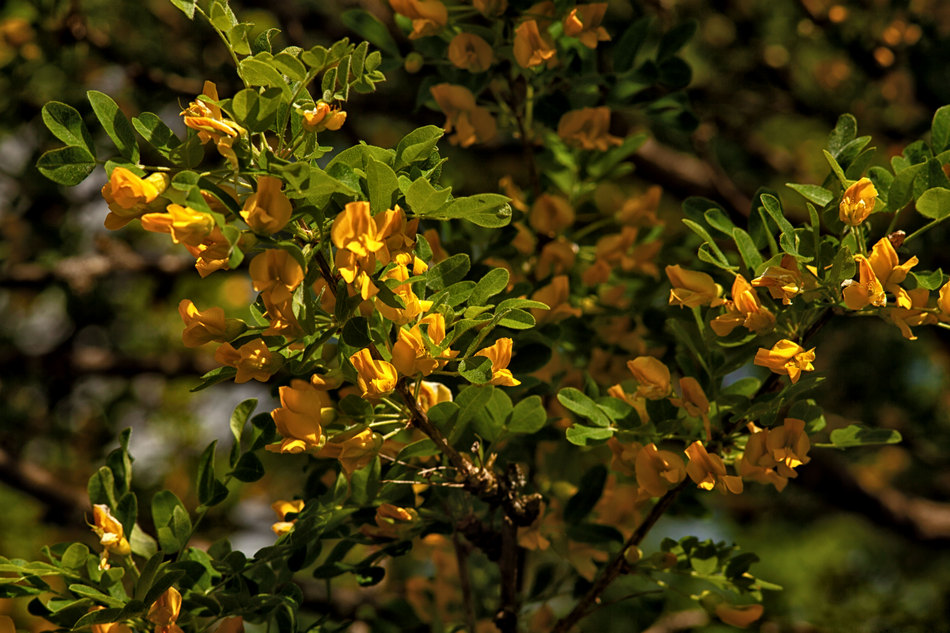 Жизнь вокруг