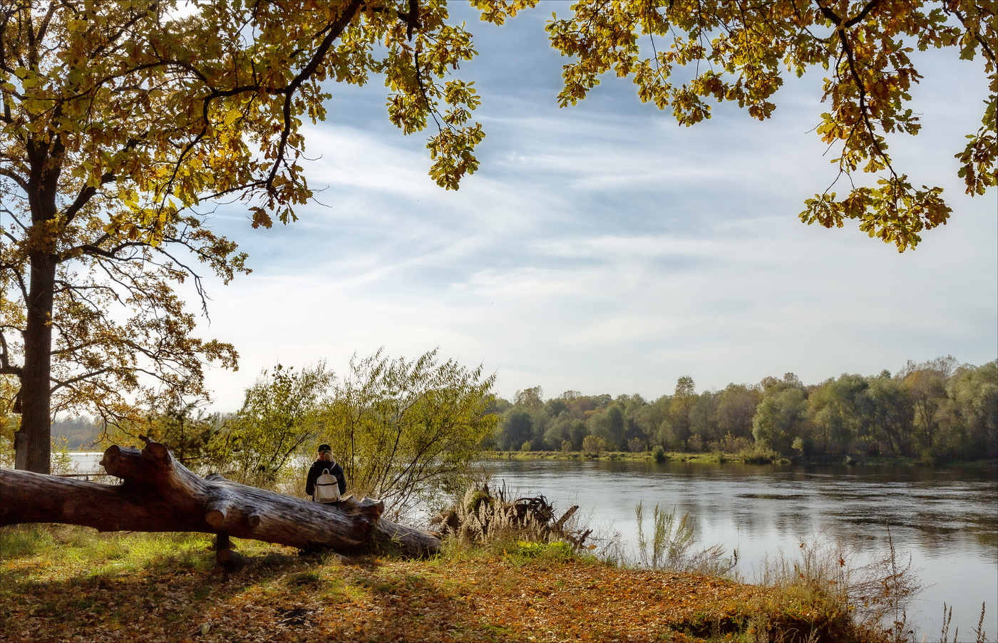 Ещё я помню летнее дыханье...