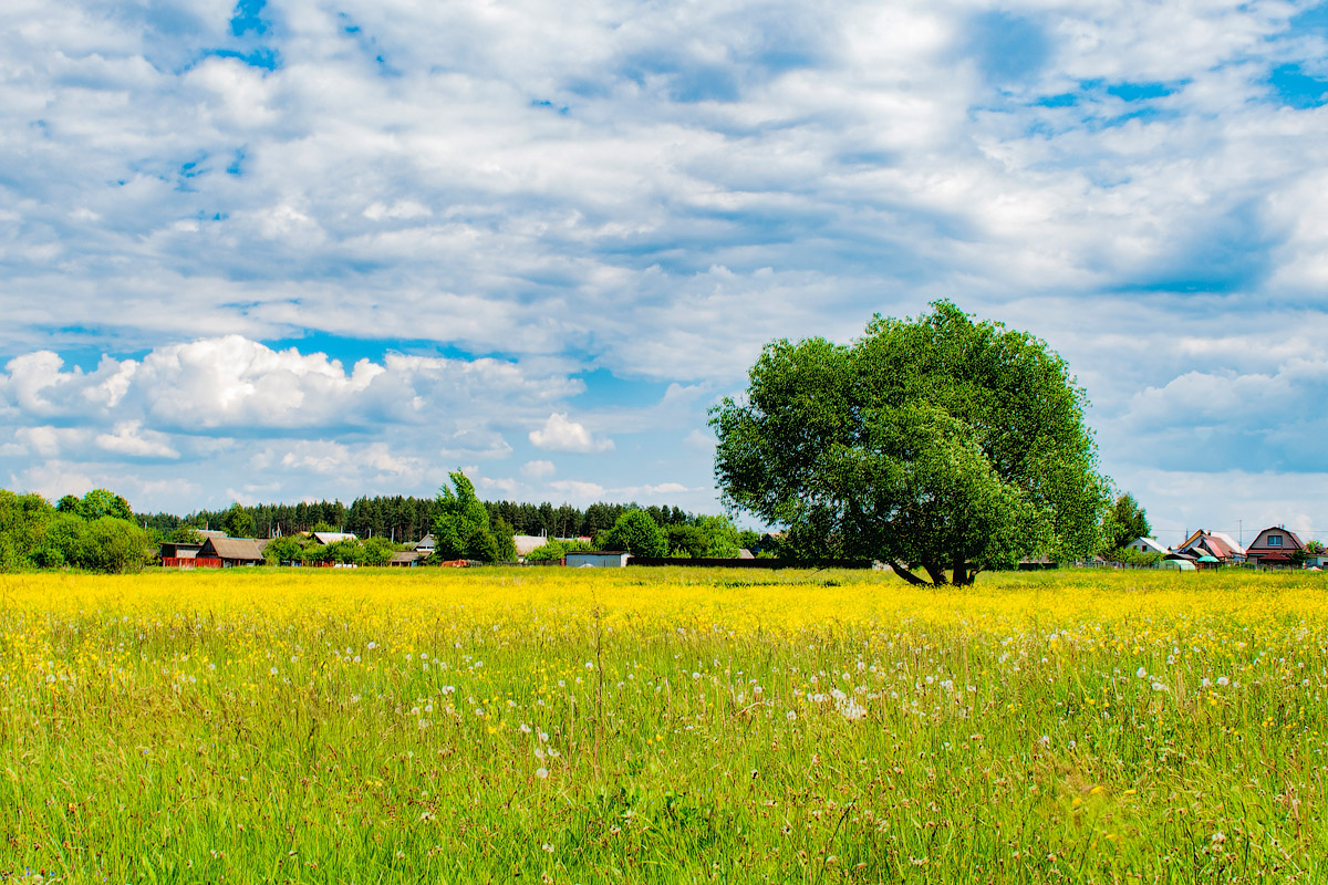 Чэрвеньскае