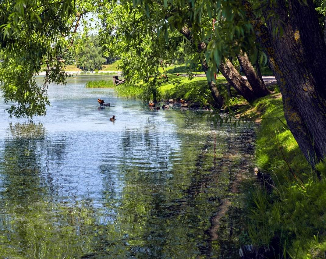 Тихое место...