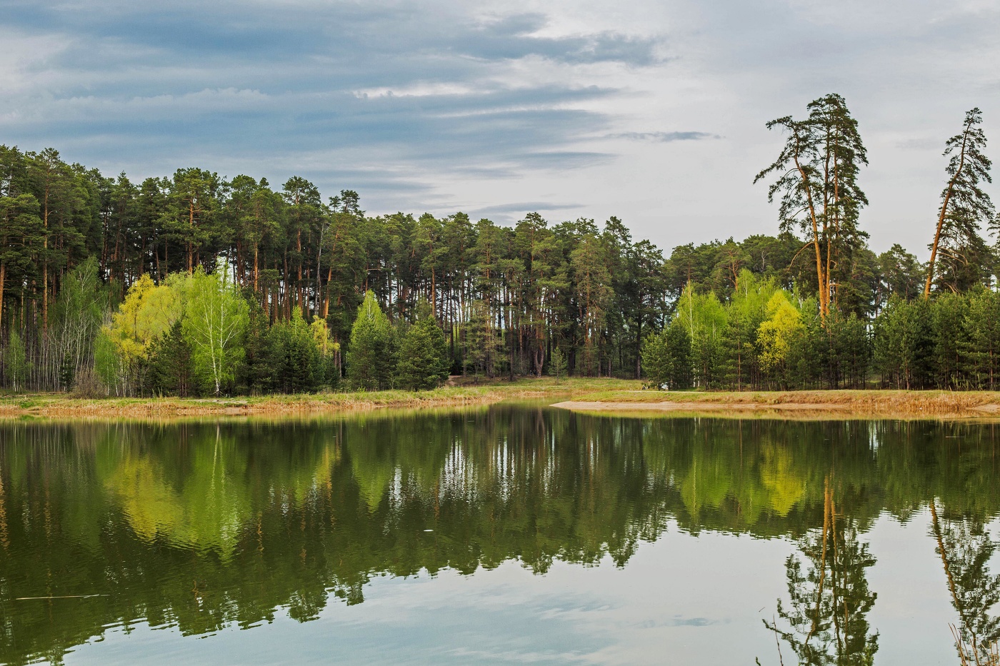 озеро Светлое лебяжье