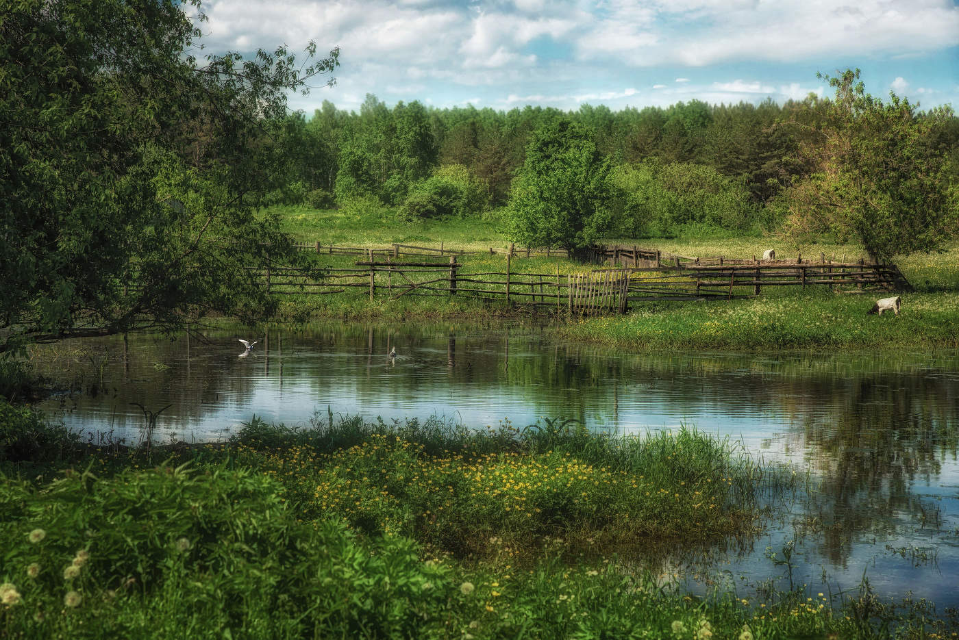 За околицей села Алексеевка