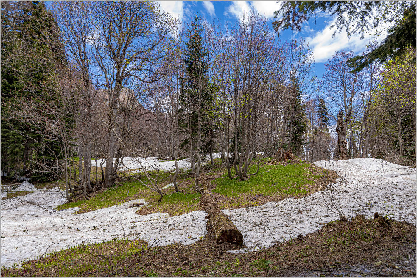 Весна в горах