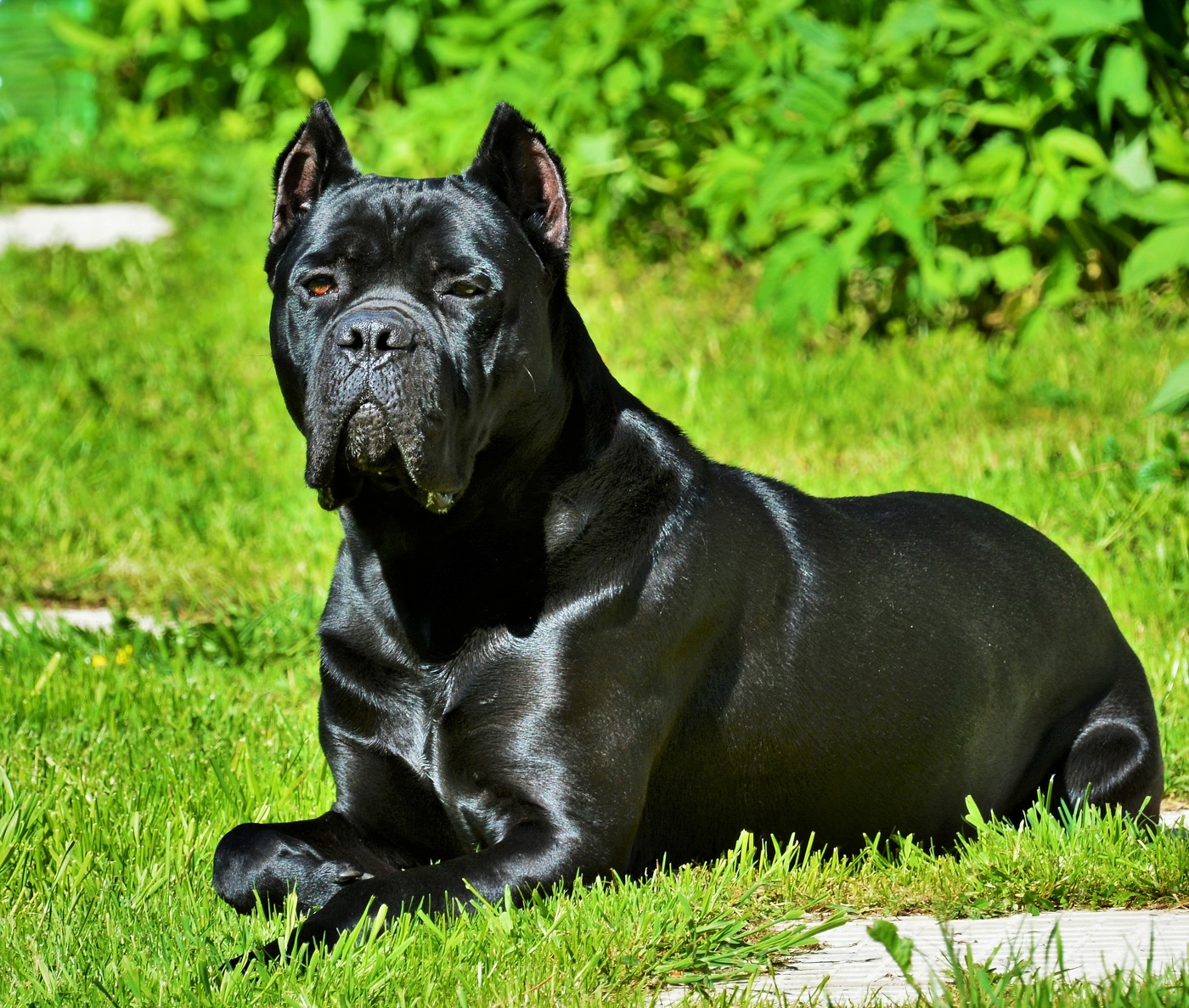 "Те, кто учит нас любви, не всегда люди ..."