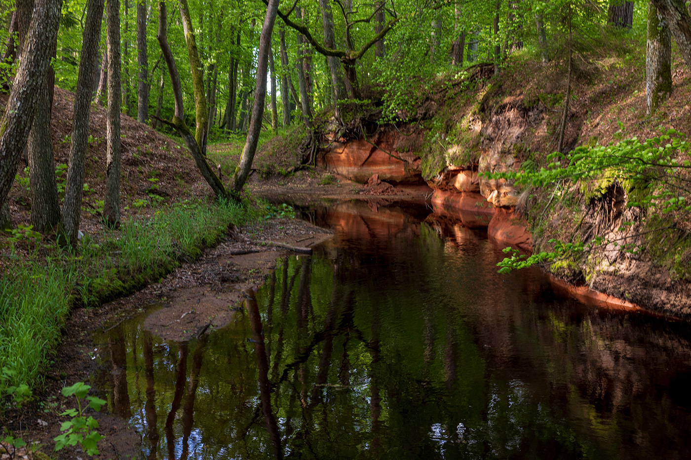 Пестрые берега