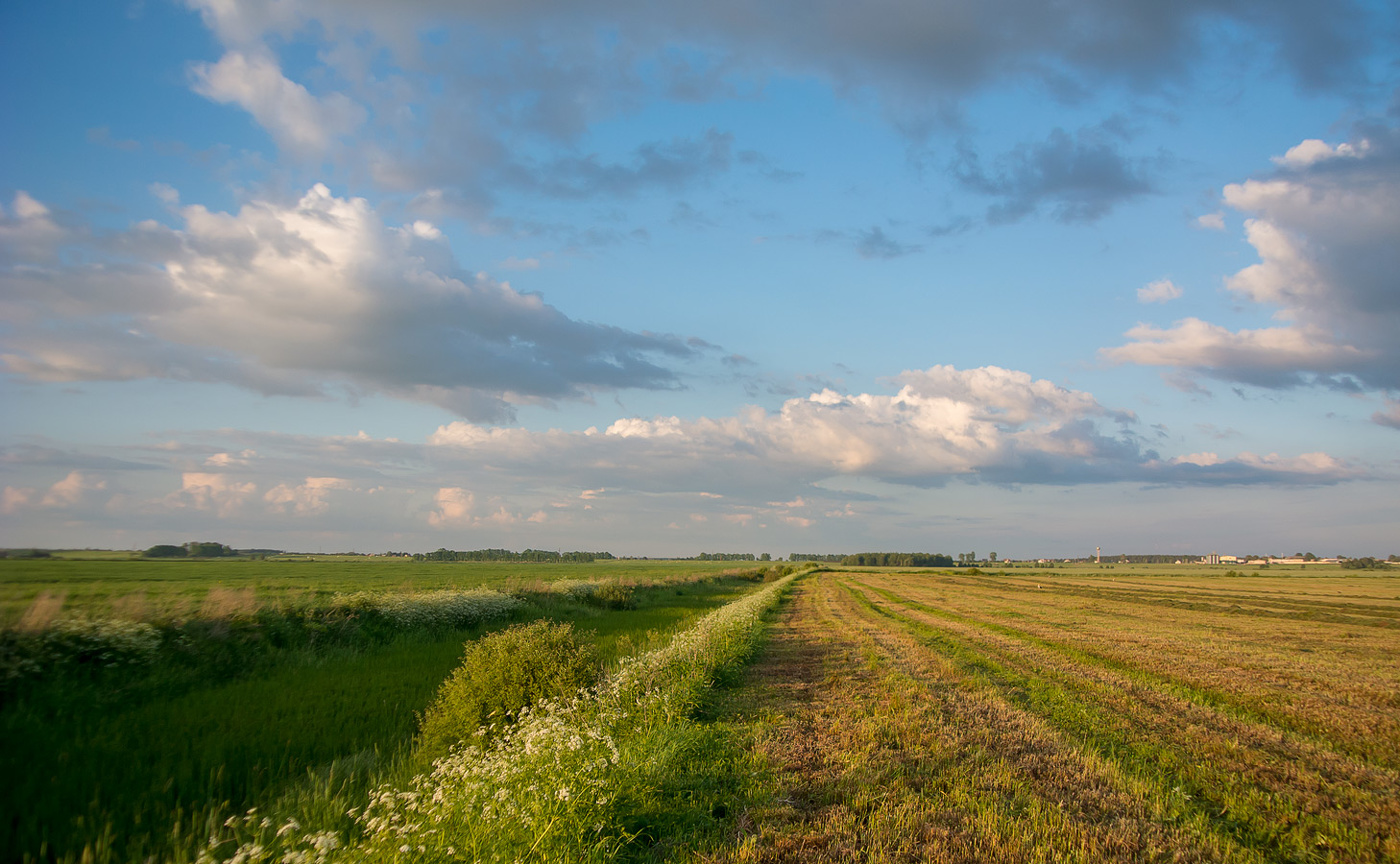Теплый вечер