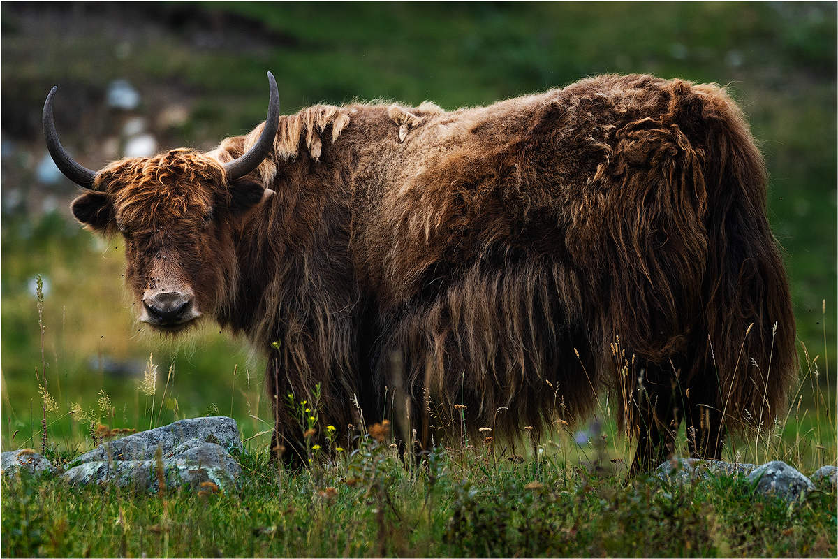 Серьёзность...