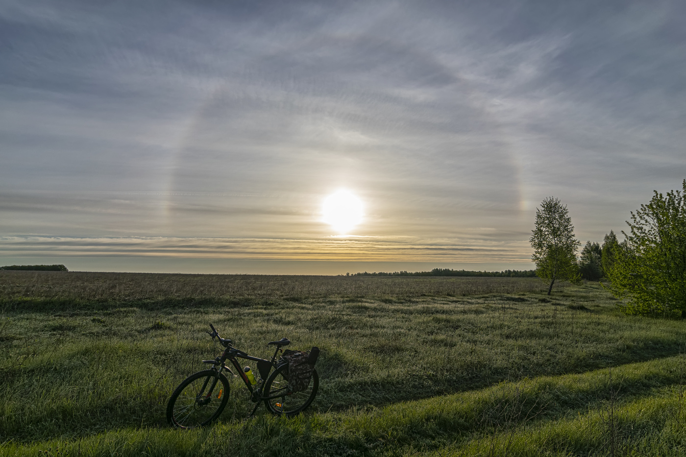 средь полей