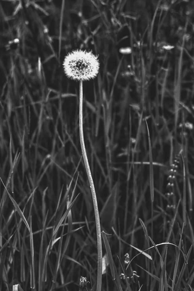 Жизнь вокруг