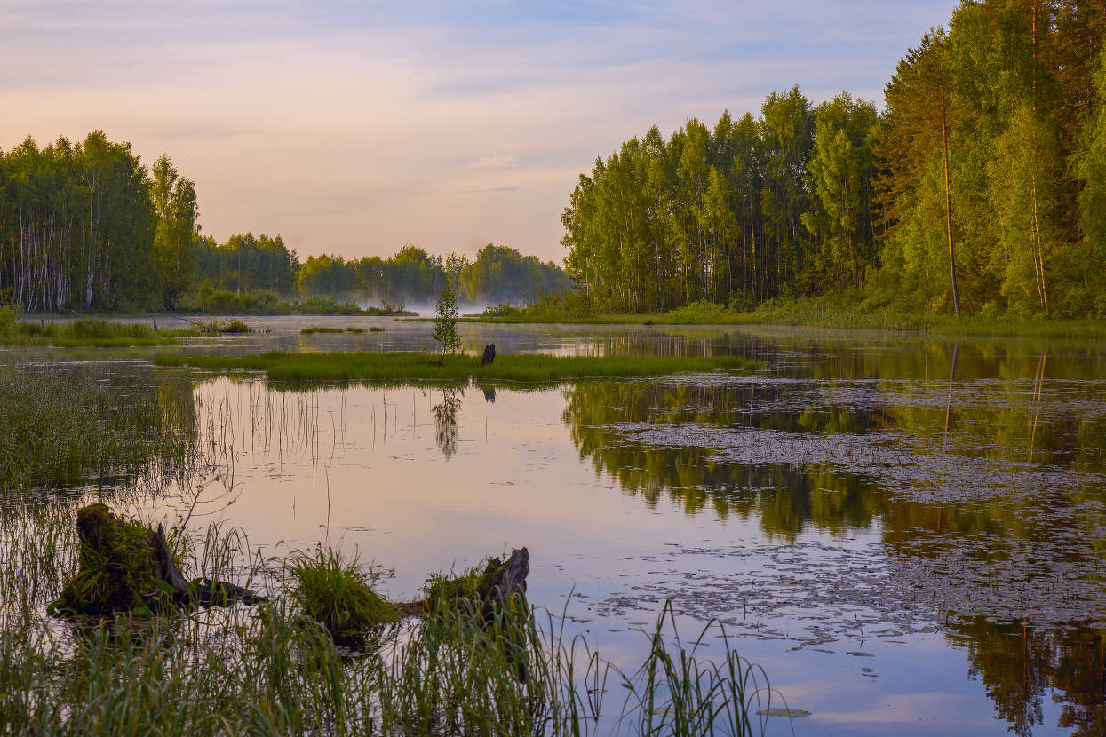 Суходол на рассвете