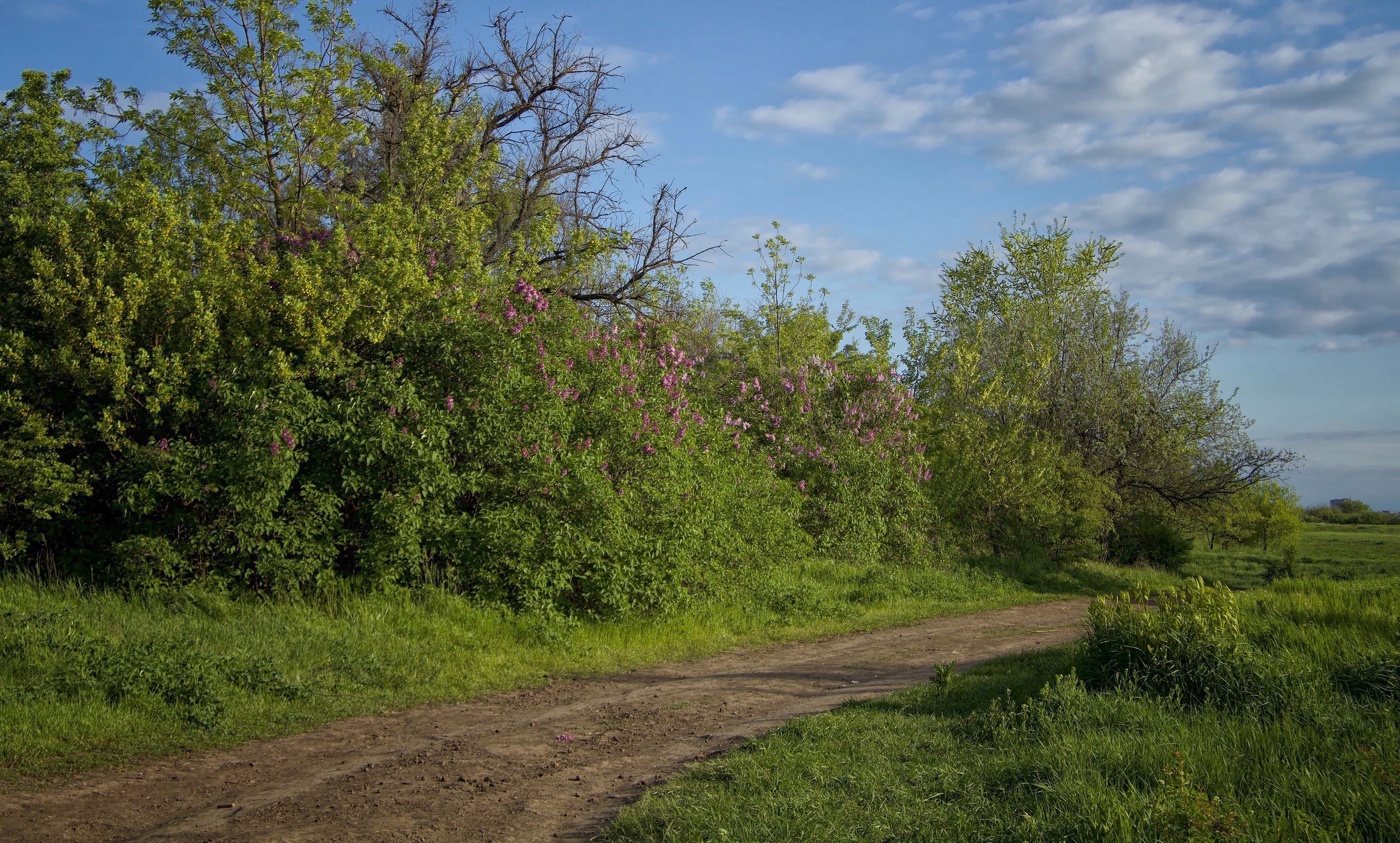 Был месяц Май ..