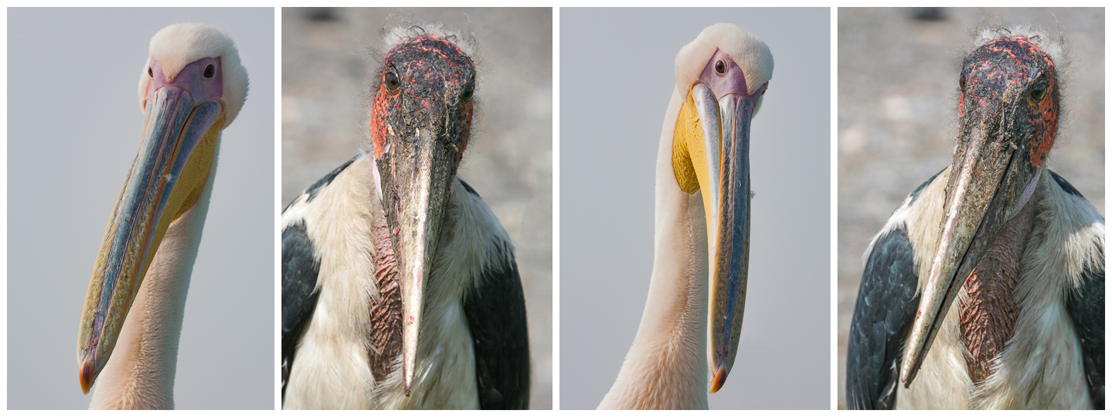 Фото на документы