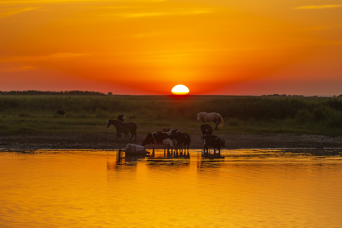 Донские истории