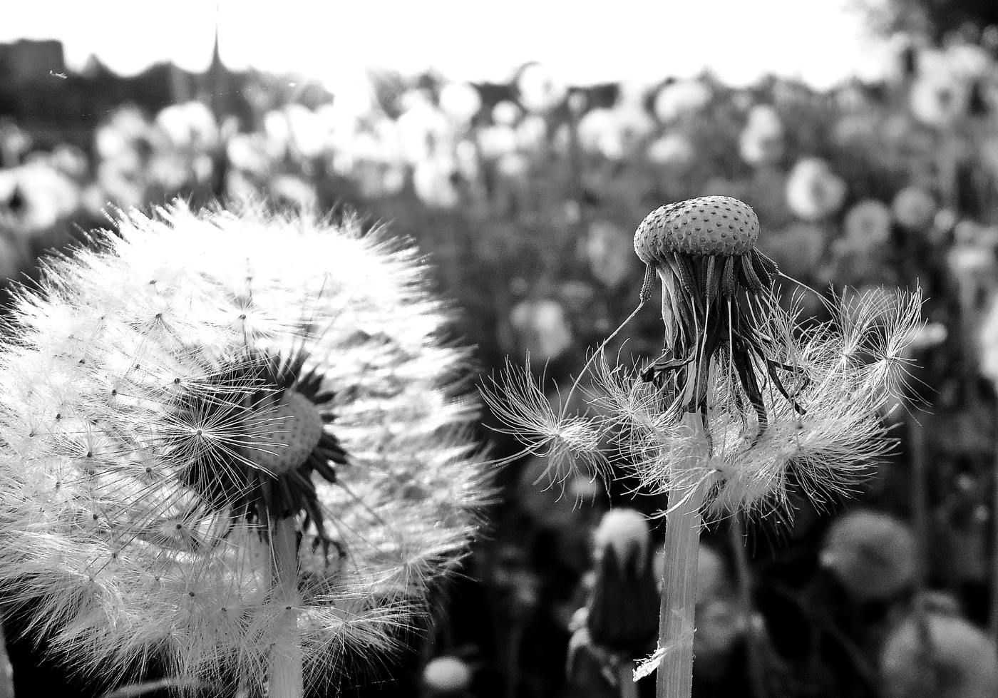 за разговором