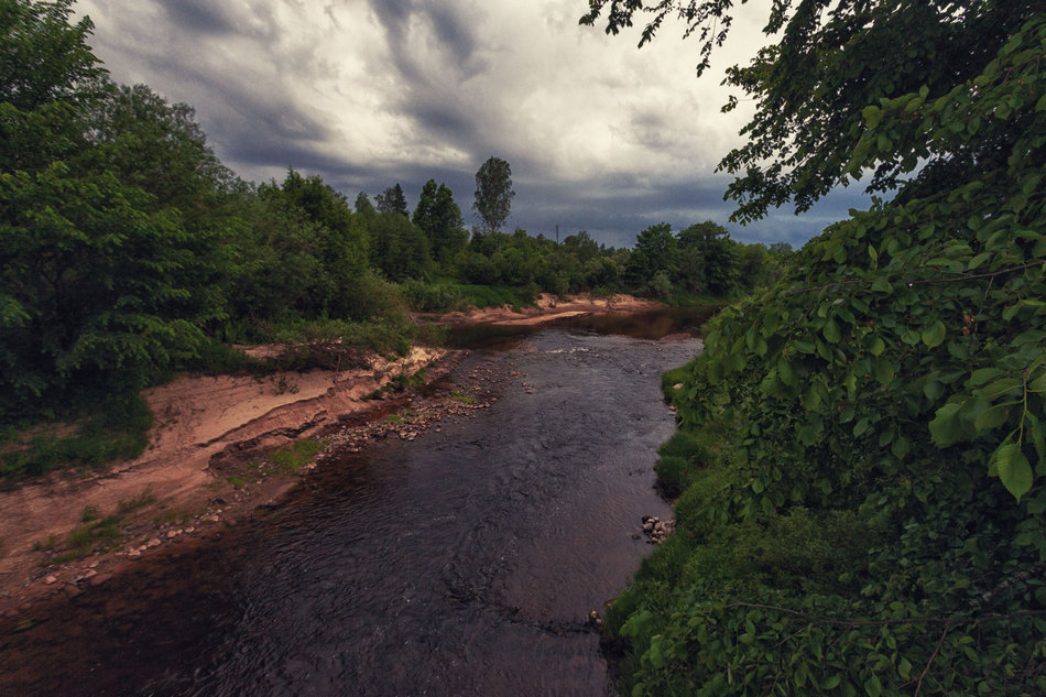 Жизнь вокруг