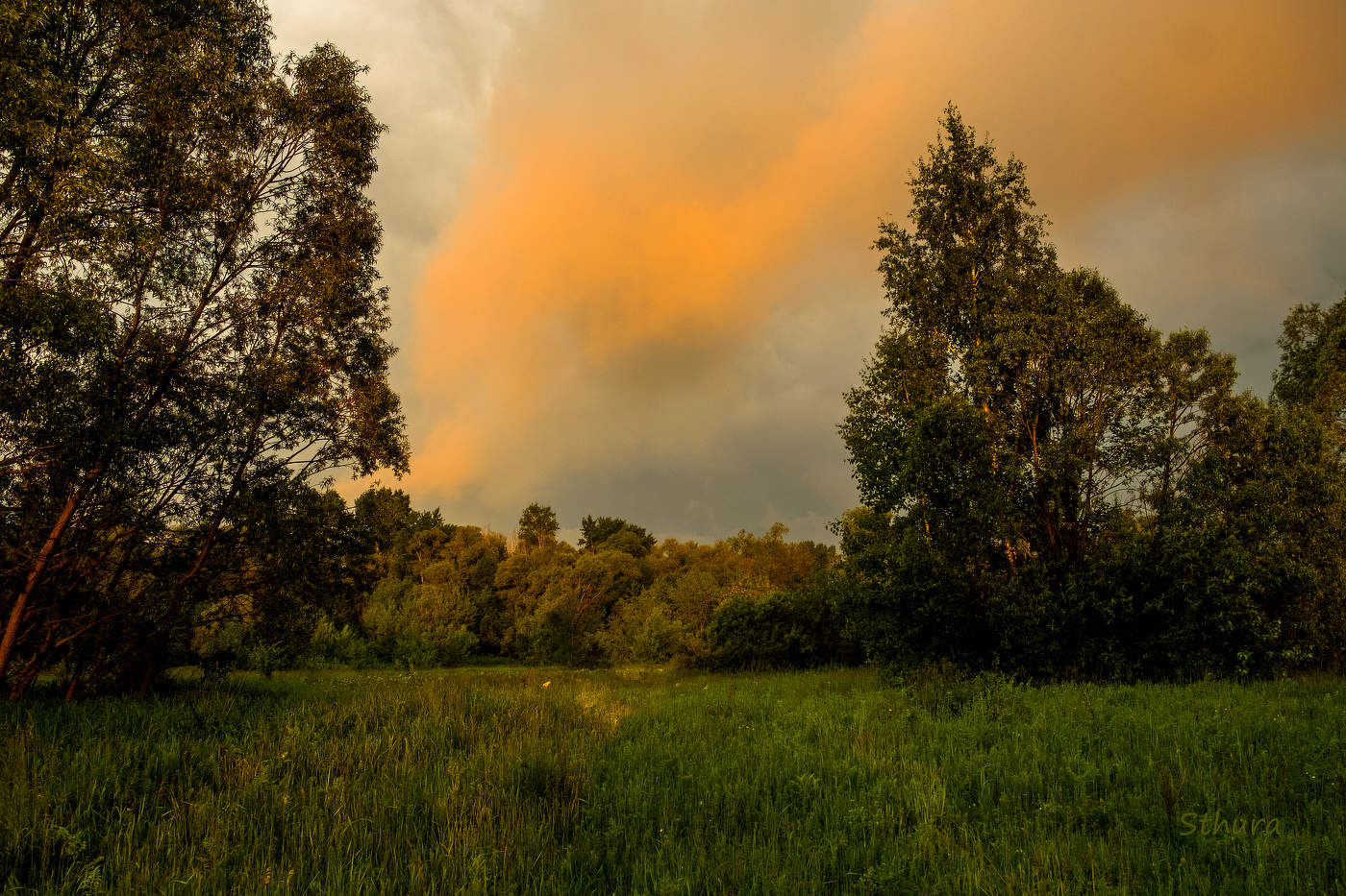 В утренний час.