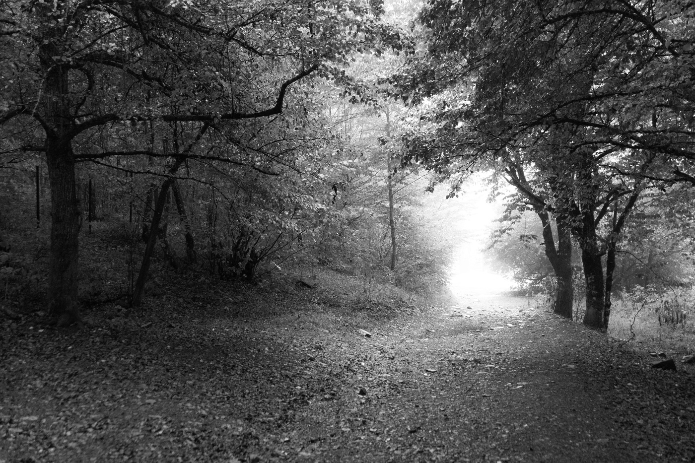 *После дождя**