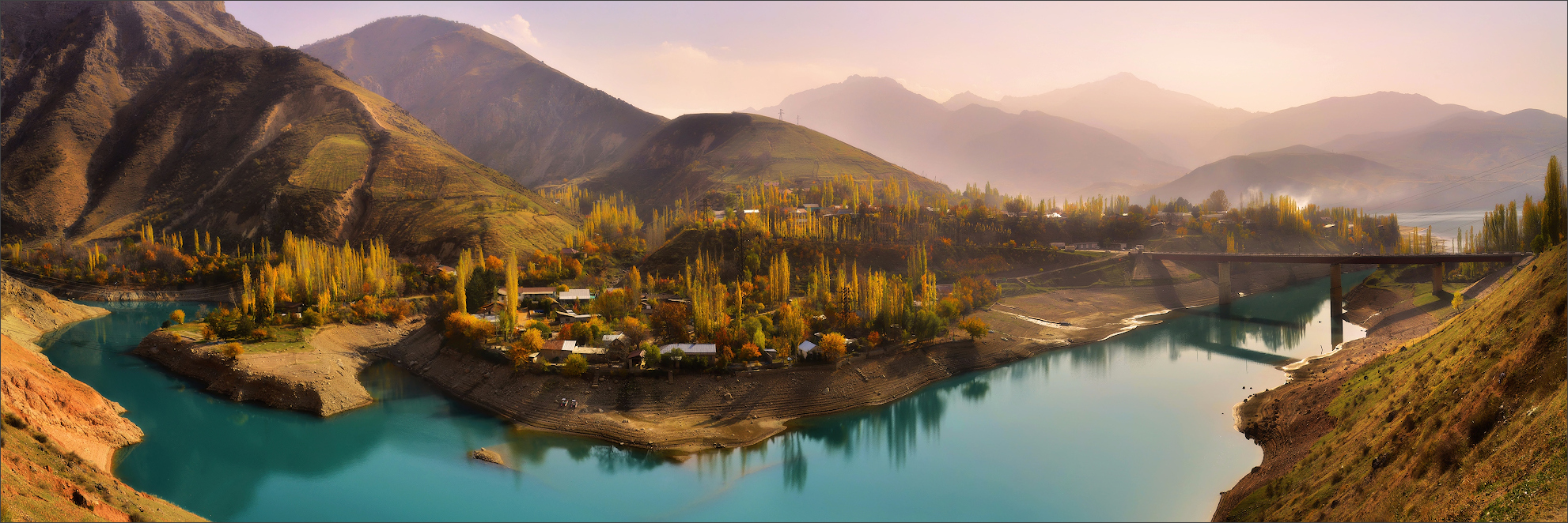 Золотая Бричмулла.