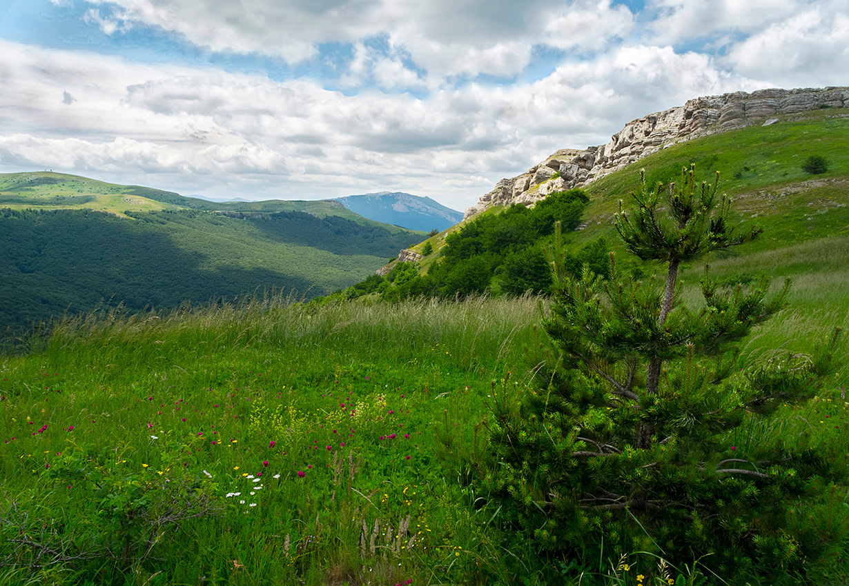 Момент солнечного луча.