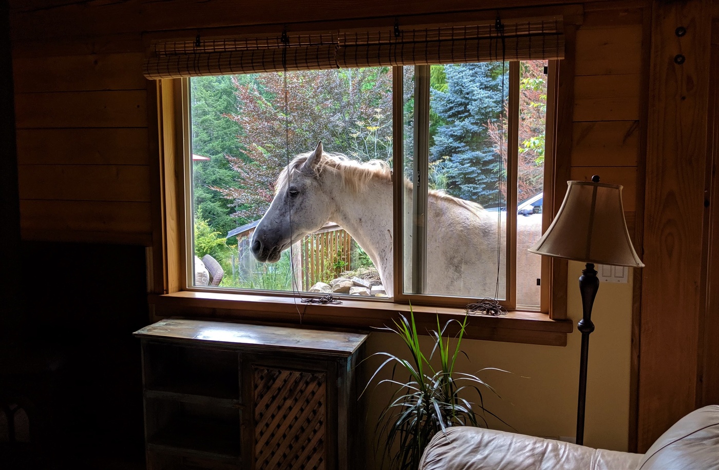 Утренняя встреча...