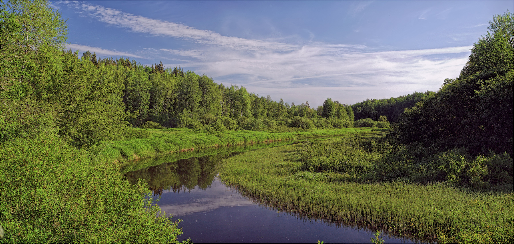 Зелёный шум