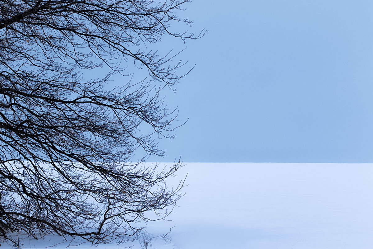 В зимних полях