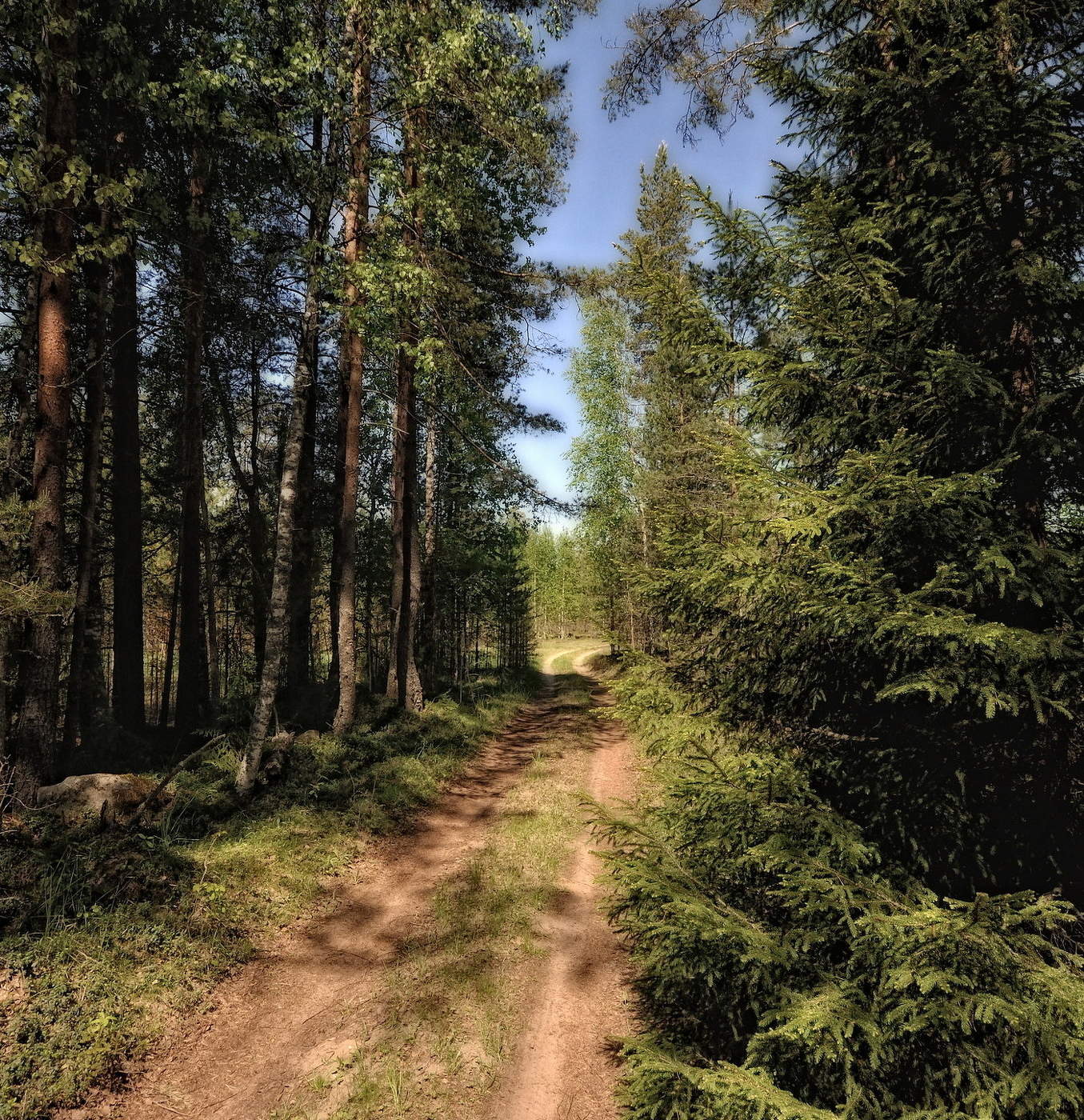 Лесными дорогами.