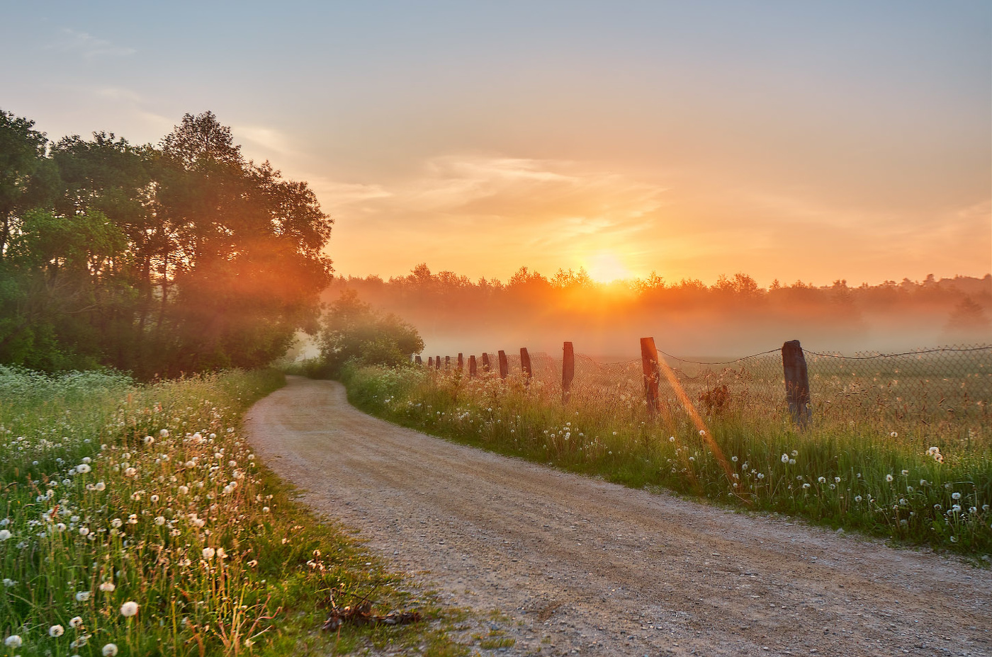 Летнее утро в Подгае