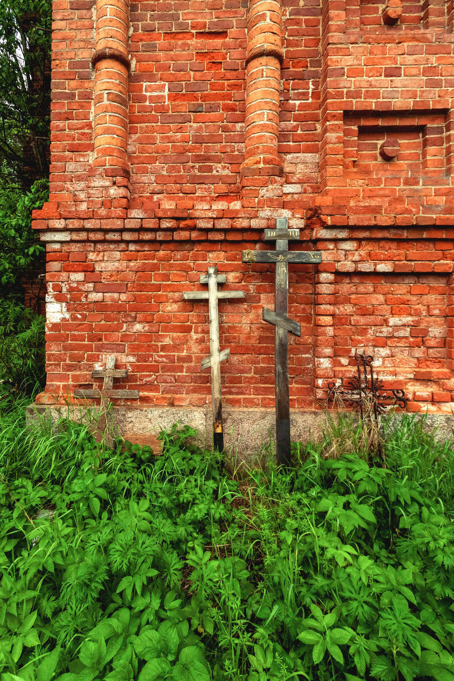 Жизнь вокруг