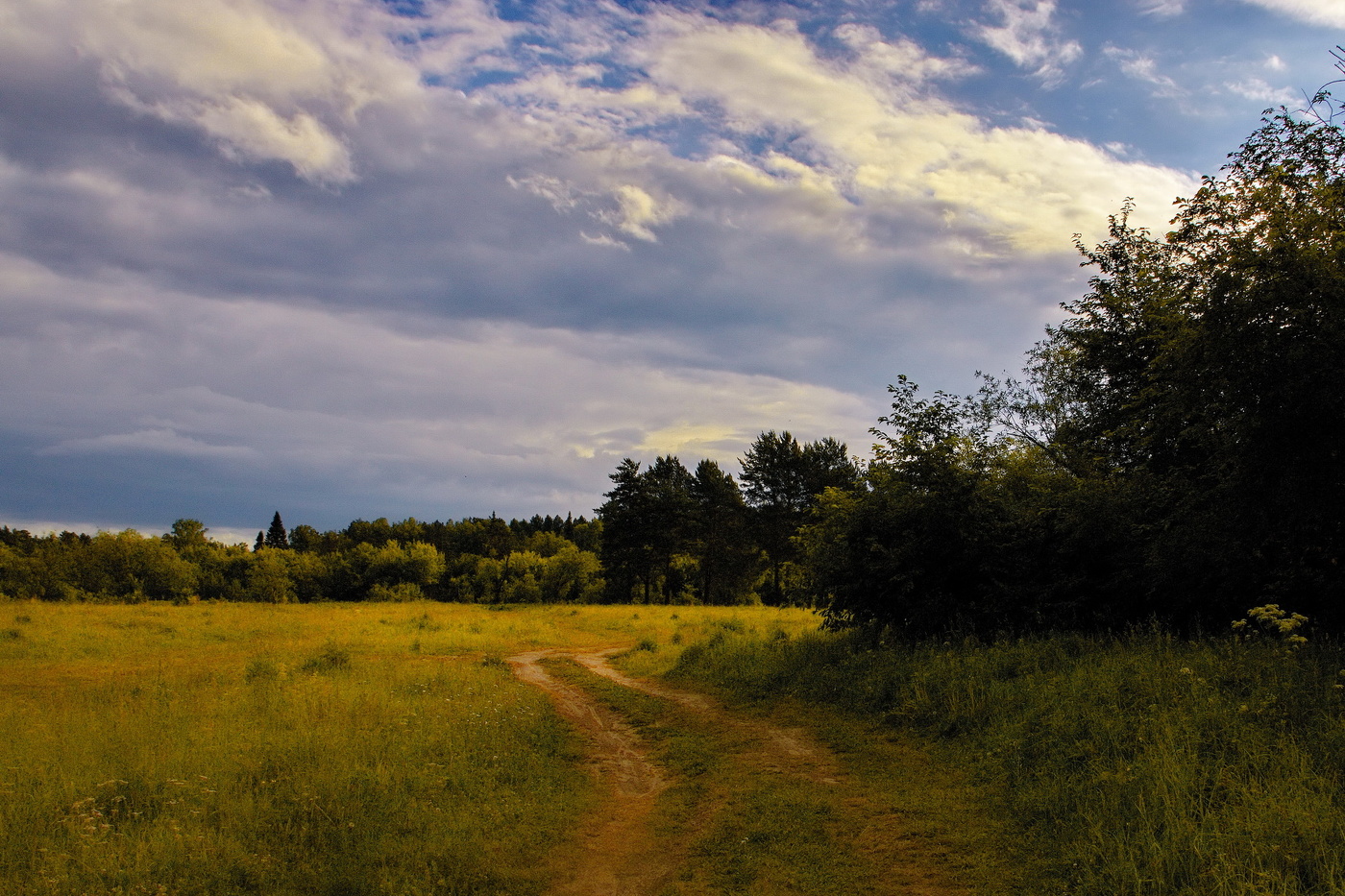 *Летним вечером.**