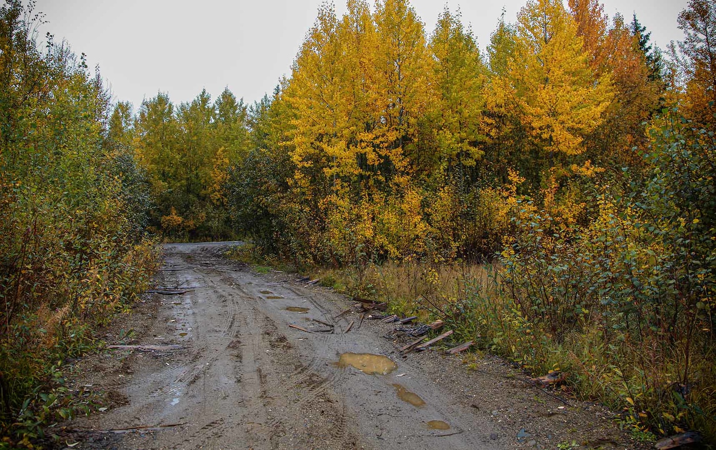 Эх дороги...