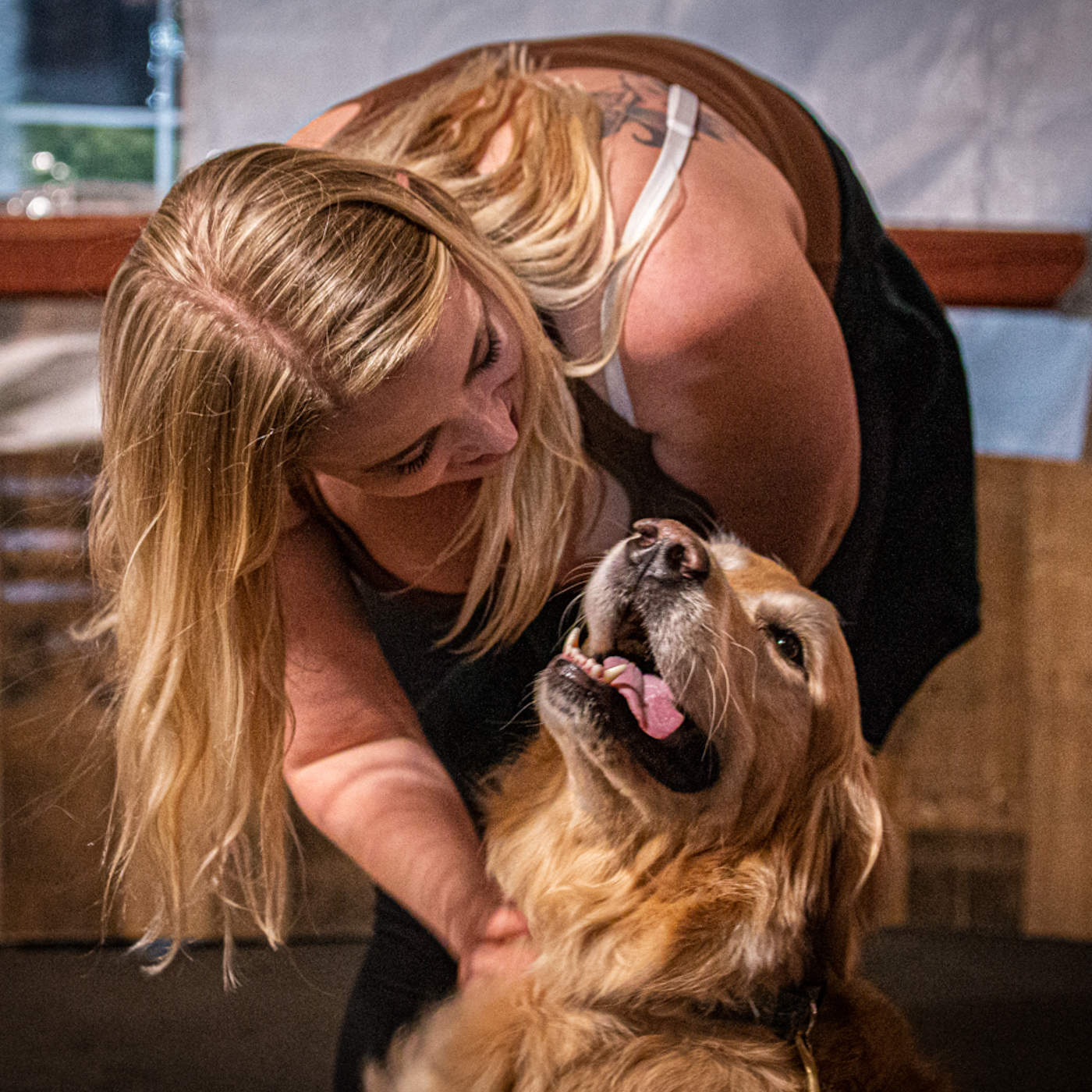 Собачье соло