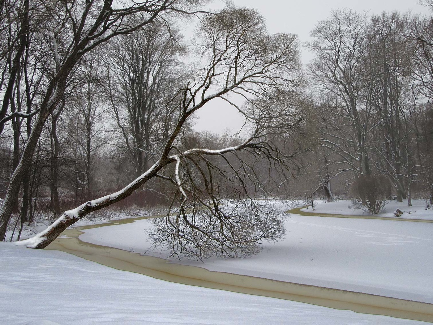 Зима на Елагином острове