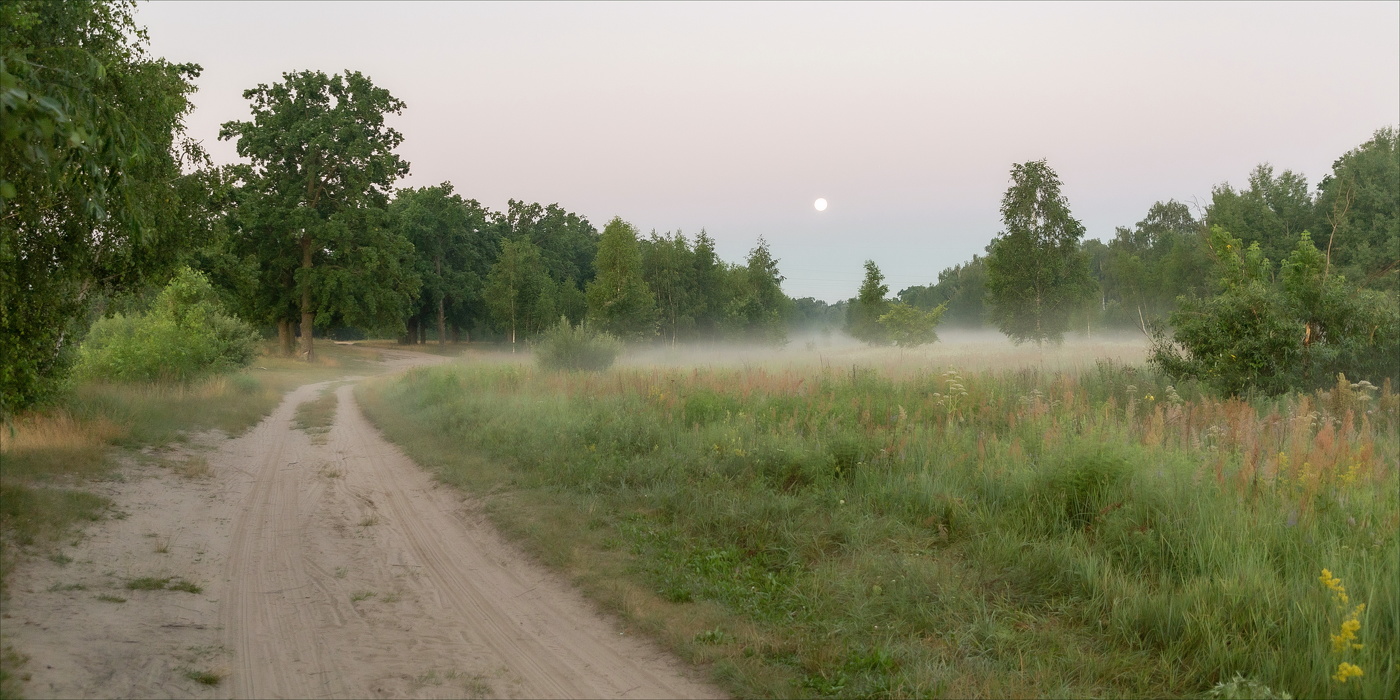 Утро Ночь провожает...