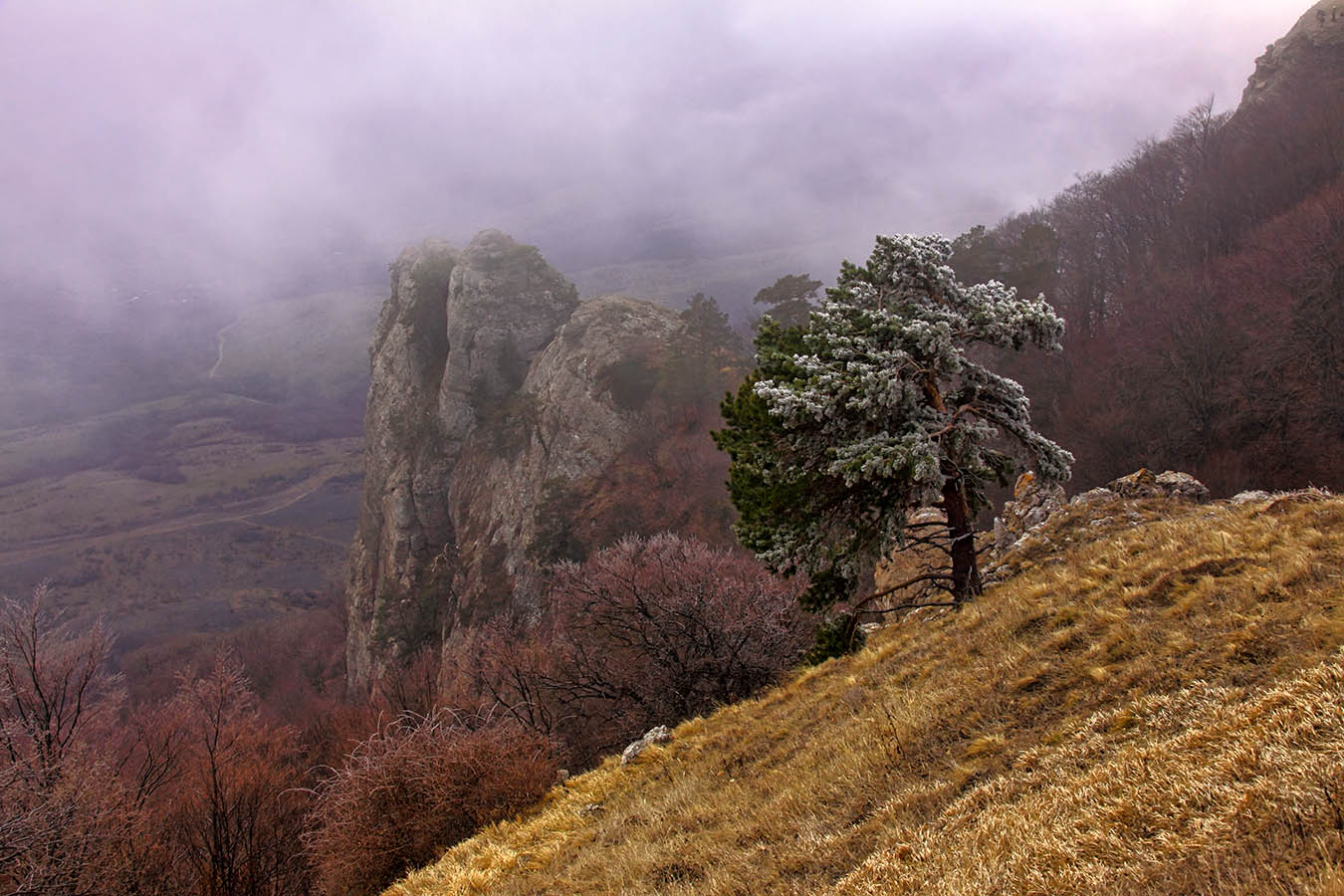На Северном Демирджи