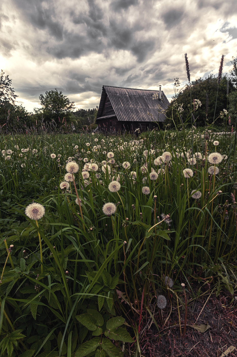 Жизнь вокруг