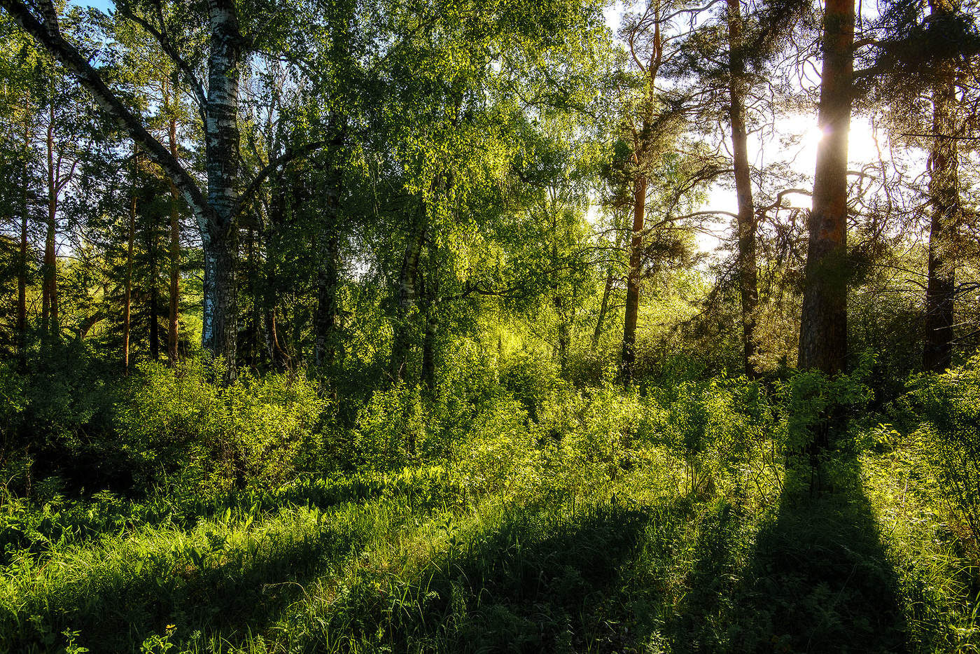 Время к ночи...