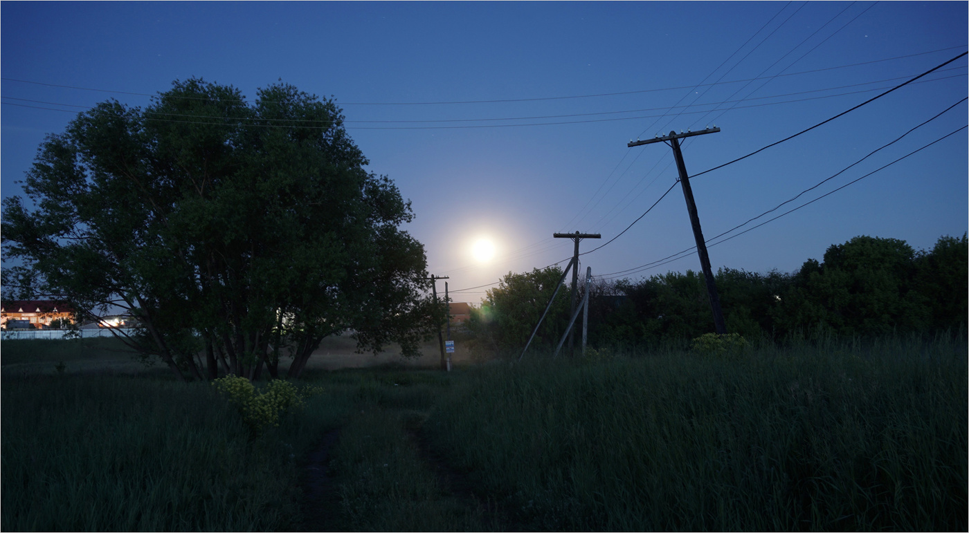 Летняя ночь