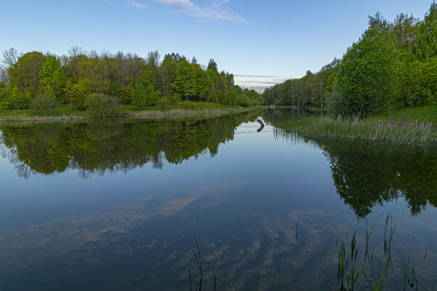 безмолвное утро