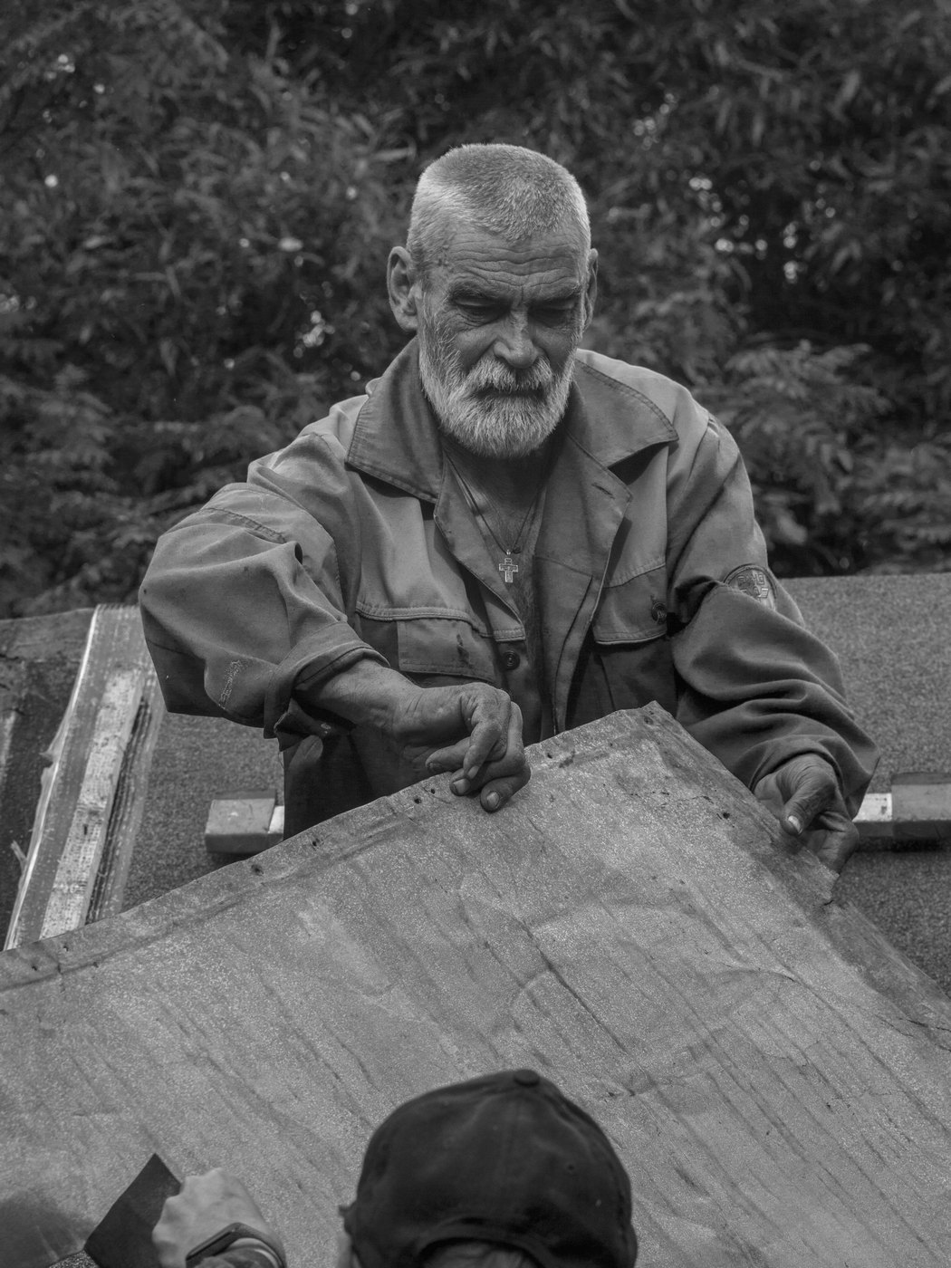 Жизнь вокруг