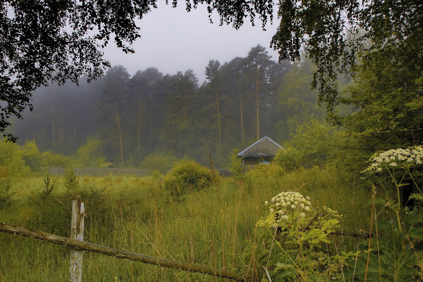 *Летнее утро.**