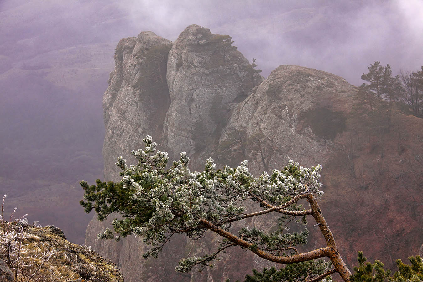 На Северном Демирджи