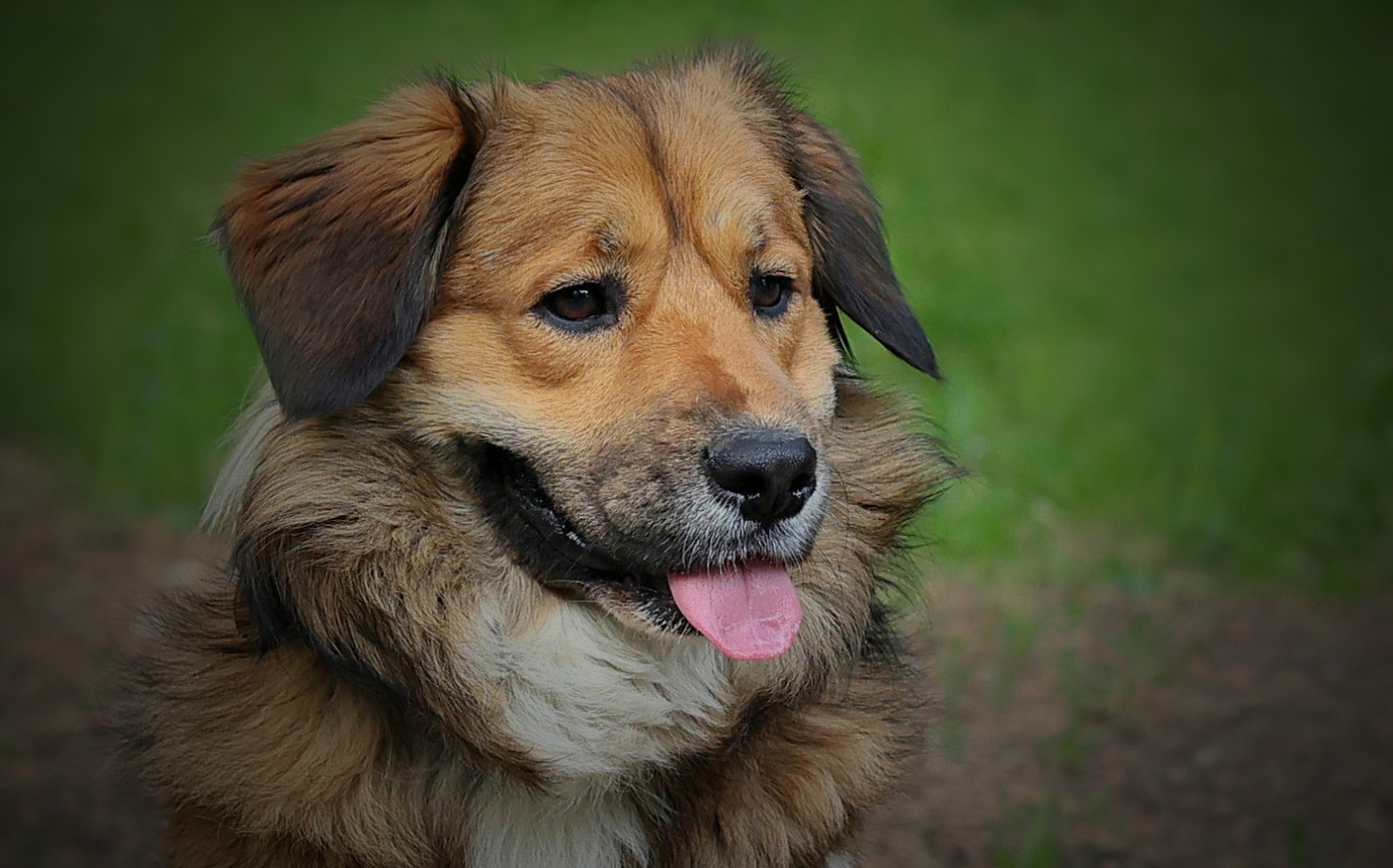 По имени Жук.