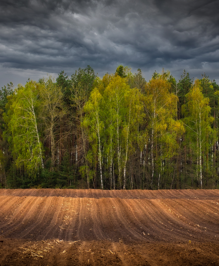 Весенняя 2022