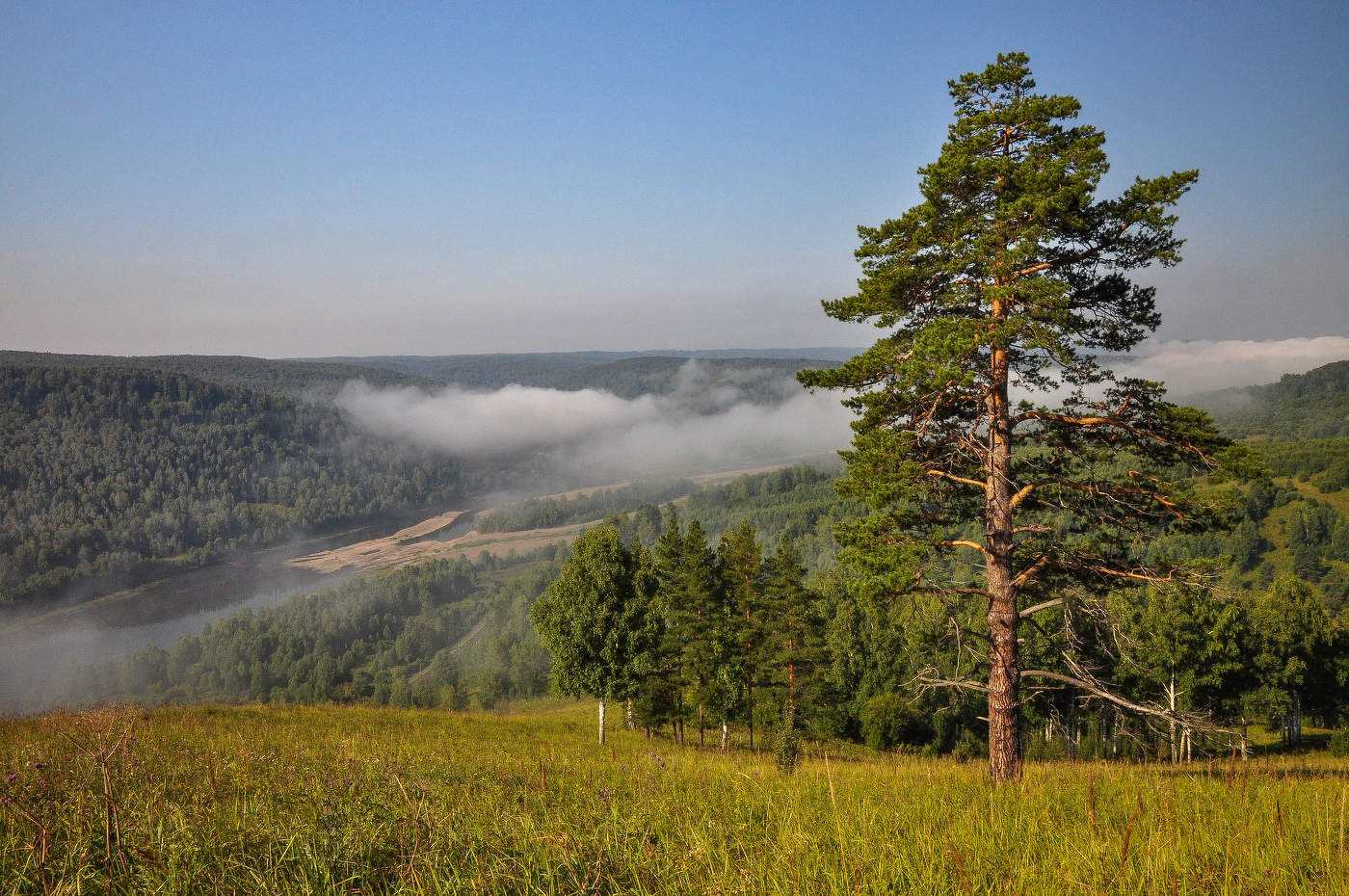 Июньское утро