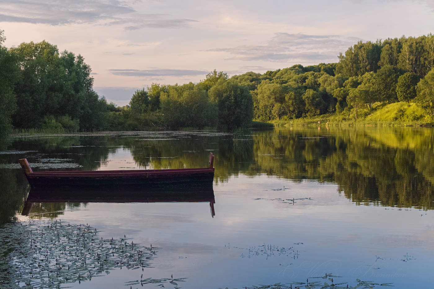 Тёплый вечер